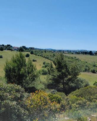 Terreno baddelonga russeglia - sassari