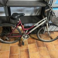 Bicicletta bottecchia anni 2000