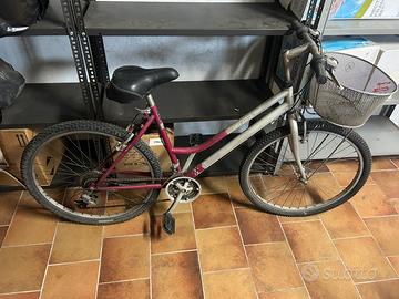 Bicicletta bottecchia anni 2000