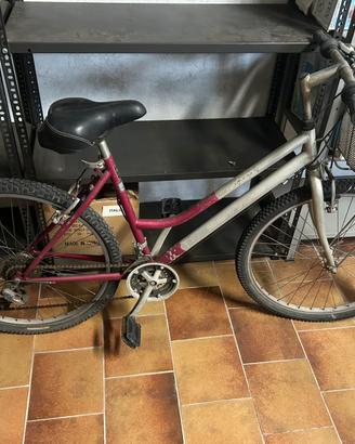 Bicicletta bottecchia anni 2000