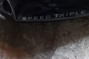 Codone completo Triumph Speed Triple 955i 2004