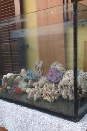 acquario con accessori