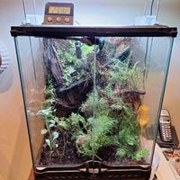 Terrario completo funzionante