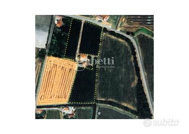 Terreno Agricolo Conselve [Cod. rif 0629251053VCG]
