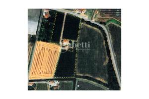 Terreno Agricolo Conselve [Cod. rif 0629251053VCG]