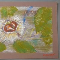 Dipinti di arte contemporanea.