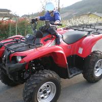 Quad Yamaha grizzly 700 perfetto
