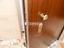 Immagine 26
