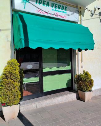 Locale a uso ufficio, ex Idea Verde, Macomer