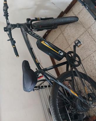 Bici elettrica