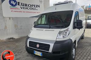 FIAT Ducato 35 2.0 MJT Furgone - FRIGO
