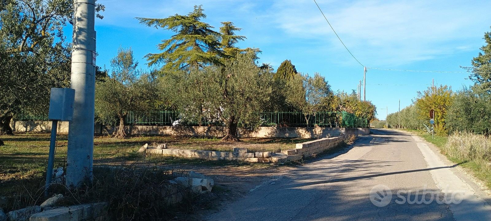Terreno e Fabbricato - Vista 2