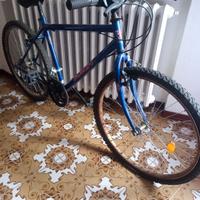 Bicicletta MTB 