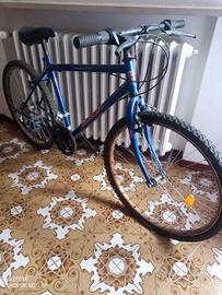 Bicicletta MTB 