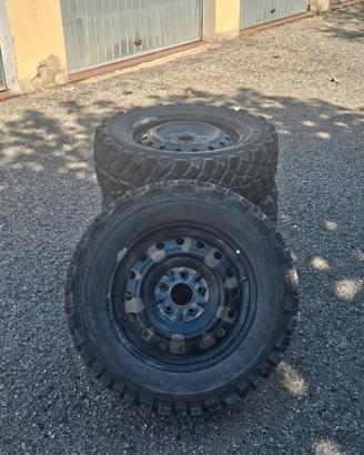 ruote per daihatsu terios (tasselllate)