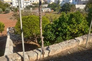 Terreno/giardino edificabile