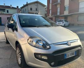 Fiat Punto Evo Punto Evo 1.2 5 porte Active