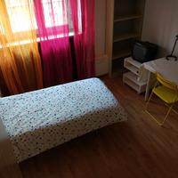 Stanza singola disponibile