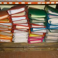 Stock 100 manuali Citroen