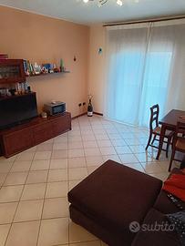 Spinea spazioso due camere