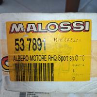 537891 albero motore Malossi per Minarelli