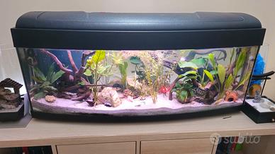 acquario 100lt