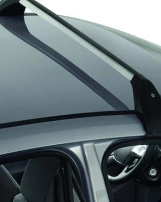 Barre portatutto Ford C Max