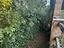 Immagine 29