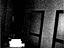 Immagine 14