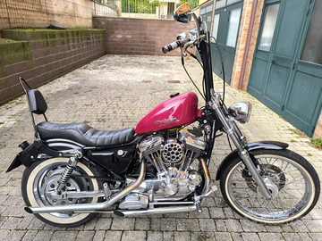 Splendida Harley Davidson