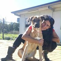 Mara, aspetta una famiglia che la conquisti