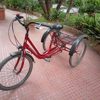 Triciclo per adulti