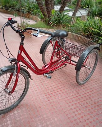Triciclo per adulti