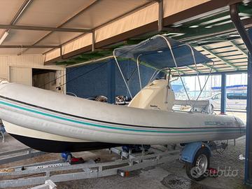 Bwa Ecoflyer 550 motorizzato Honda bf40