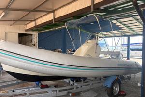 Bwa Ecoflyer 550 motorizzato Honda bf40