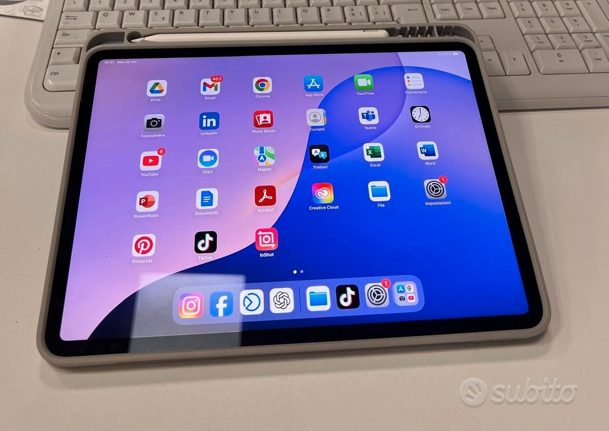 iPad Pro 11" M1 (256GB - WiFi + Cellular 5G) Grigi