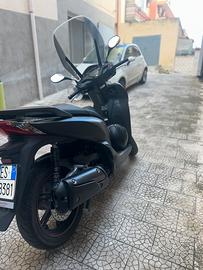 Sh 300 sport anno 2020