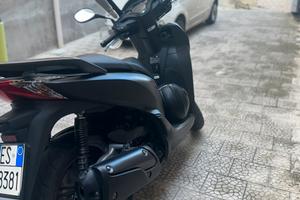 Sh 300 sport anno 2020