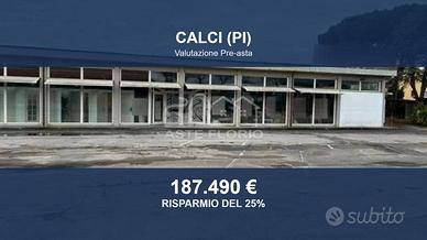 Immobile in asta di 204 m² con box auto a Calci