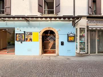 ATTIVITÀ A SIRMIONE