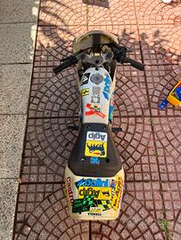 Vednso meraviglioso minimoto polini
