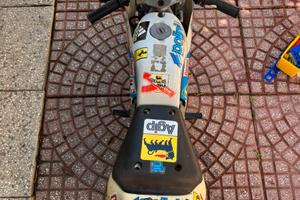 Vednso meraviglioso minimoto polini