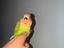 Immagine 2