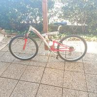 Bici 26 pollici 