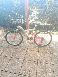 Bici 26 pollici 