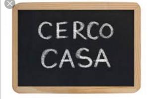 C.erco casa