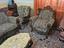 Immagine 2