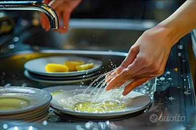 Commi lavapiatti tutto fare