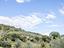 Immagine 19