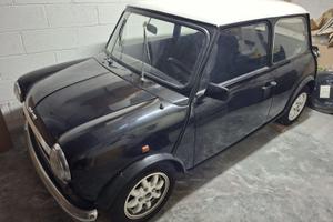 Mini Rover